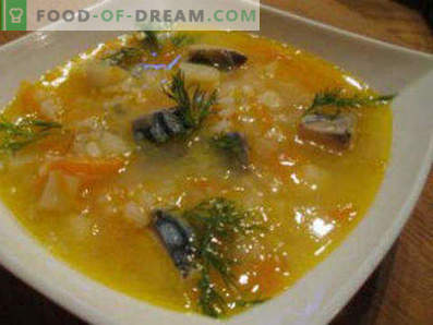Супер свежо замрзнато супа од скуша, рецепти со фотографии. Како да се готви супа од скуша