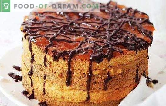 Чоколадна торта во бавен шпорет - посветена на слаткиот заб! Рецепти едноставни и нереални вкусни чоколадни колачи во бавен шпорет