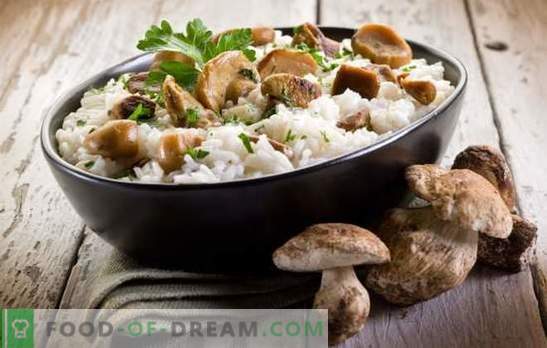 Рижото од печурки - тајните и суптилностите на готвењето италијански јадења. Рецепти за вкусно рижото со печурки