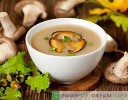 Сос со печурки - најдобри рецепти. Како правилно и да готви печурки сос.