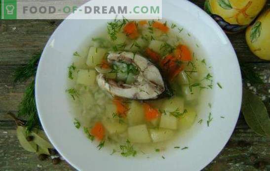 Супа од риба од супа - мирисна и здрава прва патека. Рецепти супа од крап: класичен, со жолчка, просо, јачмен итн.