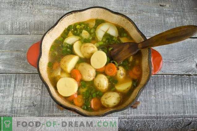 Супа од пилешко гулаш со нови компири и зелен кромид