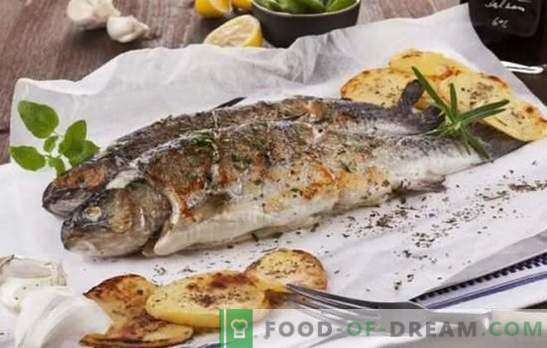 Фати риба, сè е вкусно на скара! Рецепти за морски и речни риби на скара: помош за готвење за рибари и љубители на вкусна риба