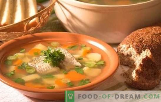 Супа од супа е вкусна супа дома. Како да се готви уво од седалото: тајни, рецепти, совети