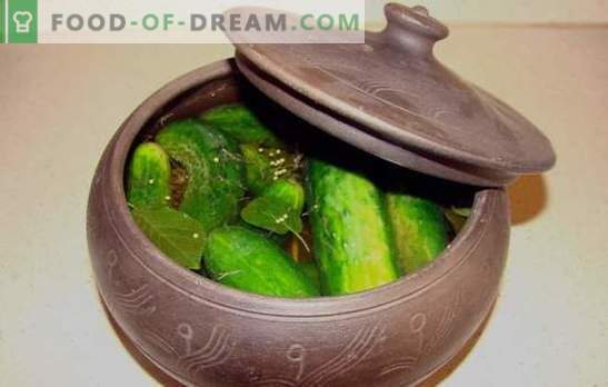 Љубовниците сакаат да направат солени краставици во тавата! Рецепти на солени краставици во тава и јадења со нивно учество