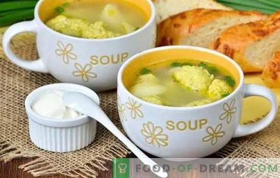 Супа со кнедли: чекор по чекор рецепти за апетитот. Печурки, пилешки, супа од зеленчук со кнедли (чекор по чекор, во детали, со тајни)