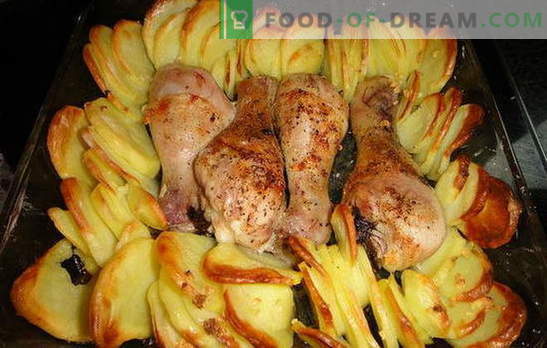 Пилешки нозе со компири во рерна - прекрасна вечера! Рецепти за пилешки нозе со компири во рерната: 7 варијанти на едно јадење