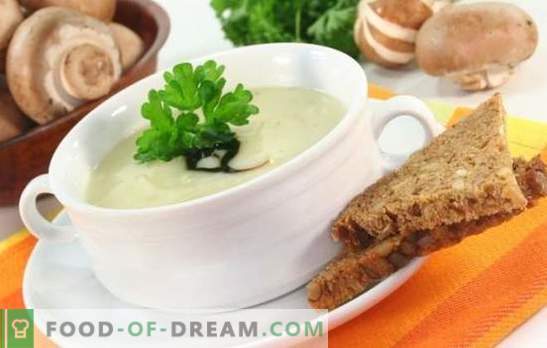 Супа од печурки со топено сирење е незаслужено заборавено јадење! Рецепти за најдобрите супа од печурки со топено сирење