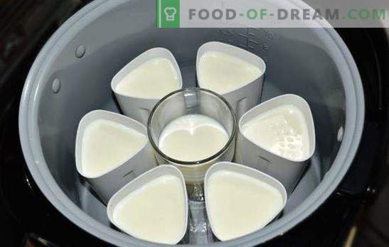Јогурт во крцкав сад во тегли е здрава вкусна деликатес. Сорти на јогурт од мултикукер во тегли