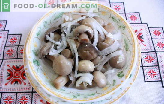 Марински шампињони дома - вкусни печурки! Како да ги собереш шампињите дома: брз, вкусен