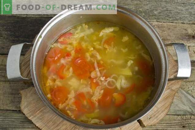 Супа од летен зеленчук во пилешка супа