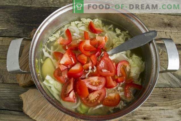 Супа од летен зеленчук во пилешка супа