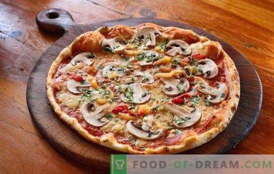Пица со мелено месо и печурки: традиционални и оригинални рецепти. Домашна пица со мелено месо и печурки - најдобри опции