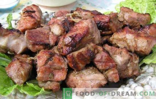 Маринада за свинско ќебап со кефир - тендер! Збирка рецепти за маринада за месо на огнот: маринада за свинско месо со кефир