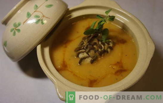 Остридерска супа - најдобрите рецепти на авторот. Готвење остриги печурки супи: со тестенини, сирење, јајца, кнедли, срца, житарици, леќа