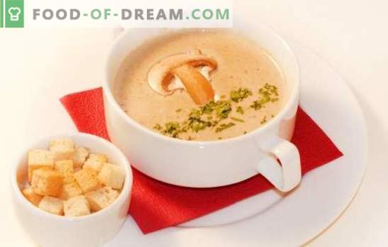 Грижа за супа од печурки е деликатна верзија на вашето омилено јадење. Најдобри рецепти на супа од супа од печурки: со крем, со сирење, ориз, коњак, ракчиња