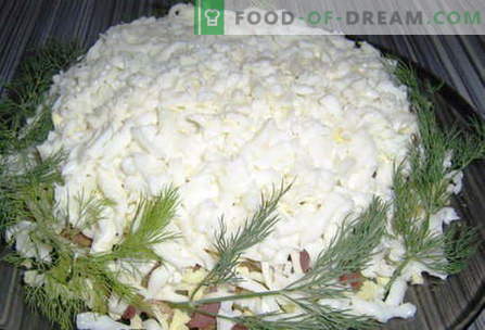 Бели салати - најдобри рецепти. Како да правилно и вкусно варен бела салата.