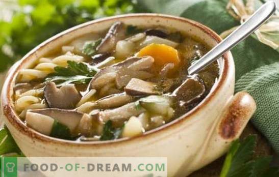 Супа од супа од печурки - лесно и едноставно! Рецепти од супа од супа од печурки со пилешко, леќа, тестенини и сирење