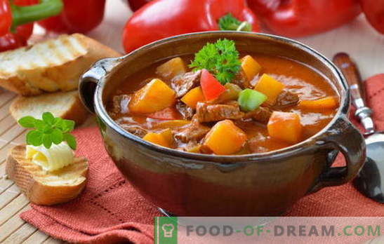 Унгарската супа е невообичаена, но вкусна! Различни рецепти на унгарски супи: со говедско месо, риба, грав, спанаќ, цреши