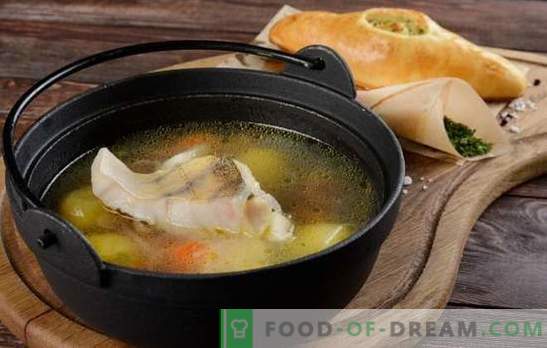 Супа од супа е традиционална и оригинална: со компири, просо, печурки. Како да се готви уво од шунка со билки и водка