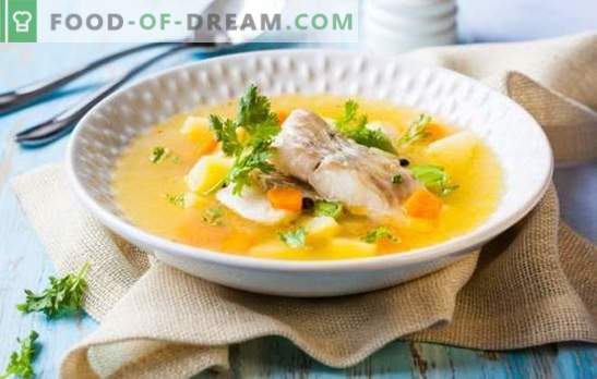 Уво на Штерл - неспоредлив вкус и арома на риба супа. Како да се готви вкусна риба супа од Стерл