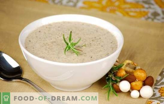 Супа од супа од печурки - популарни рецепти. Како да направите супа од супа од печурки во бавен шпорет, со крем или со сирење