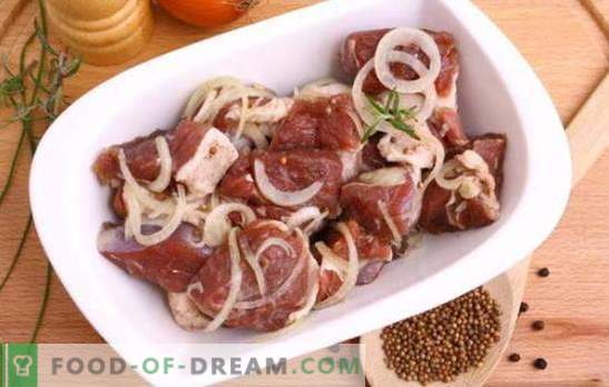 Најдобрата маринада за свинско ќебап - што е тоа? Најдобри мариновани рецепти за свинско месо на кефир, минерална вода, сок од калинка