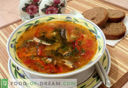 Супа од домати - докажани рецепти. Како правилно и вкусно да се готви супа од домати.