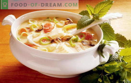 Рецептот за вкусна супа од зеленчук е основа за правилна исхрана. Избор на најдобри рецепти за вкусна супа од зеленчук од различни зеленчуци