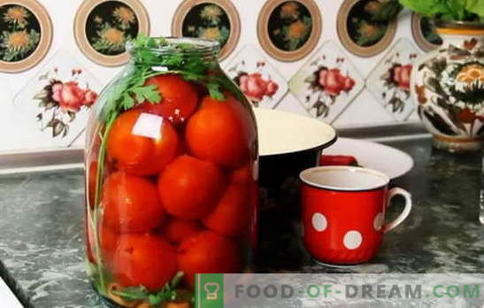 Најдобриот рецепт за домати под капакот на капакот. Како да се подготват домати под капакот на капанот: совети од искусни хостеси