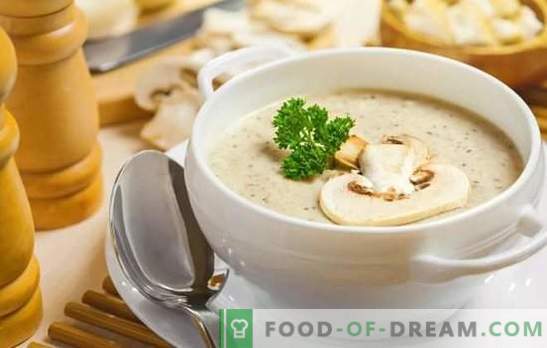 Мирисна шампињон супи: чекор по чекор рецепти. Подгответе едноставно полнење и европска кремска супа од шампињони (чекор по чекор)