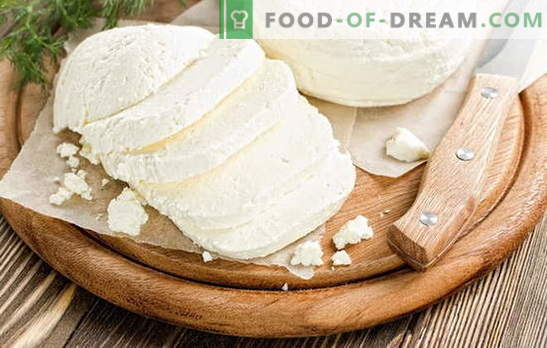 Адиге сирење дома: вкусно под кое било име! Рецепти за домашна сирење Адигеј