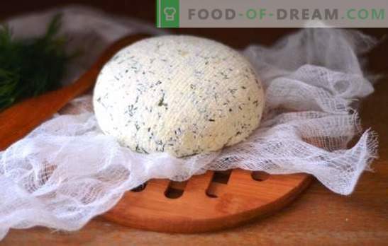Сирење на Кефир дома - вкусна, економична, здрава. Како да направите различни видови сирење кефир дома
