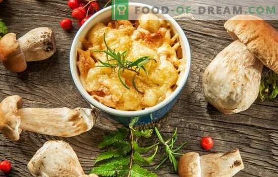 Жулиен со печурки и сирење - француска супа? Неверојатни авантури на julienne со печурки и сирење во Русија