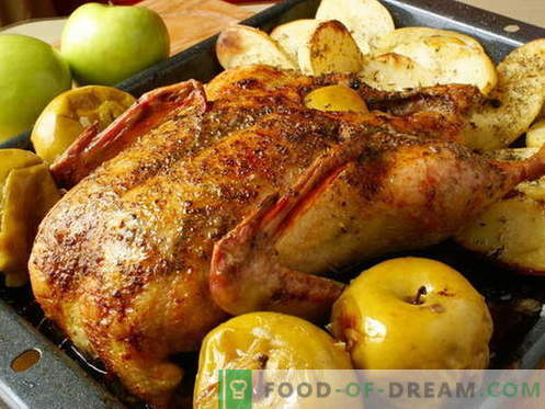 Патка со јаболка - најдобри рецепти. Како правилно и вкусно да готви патка со јаболка.