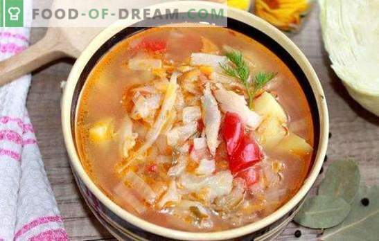 Супа за готвење со свежа зелка и пилешко. Класичната технологија на руската супа од зелка направена од свежа зелка со пилешко во модерната кујна