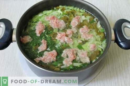 Зелена супа направена од млади зеленчуци - летен сад за секој ден