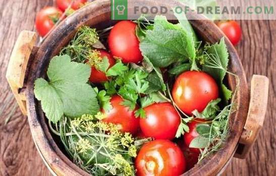 Селење домати за зима: рецепти празни од цели и исечени домати. Откријте ги тајните на успешните солени домати за зимата