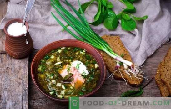 Руската орошка е стара супа! Рецепти на традиционална руска окрошка на квас, сурутка, супа, јогурт