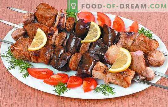 Турција кебаб: рецепти за нежно месо. Тајните на маринадата за мисирки: зачинета, брза, кефир, вино