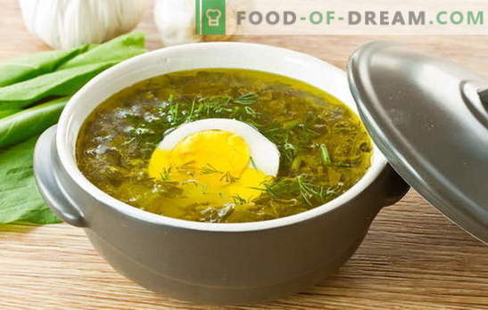 Супер киселица - полнење од летно расположение! Рецепти за супа од оксали со јајца, ќофтиња, ориз, пилешко, чорба