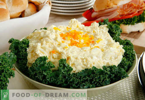 Салата од јајца - докажани рецепти. Како да се готви јајца салата.
