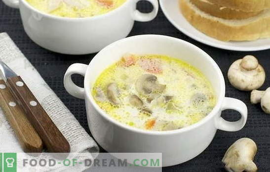 Крвна супа од печурки: класична и оригинална. Рецепти за супа од супа од печурки за деловна и домашна вечера