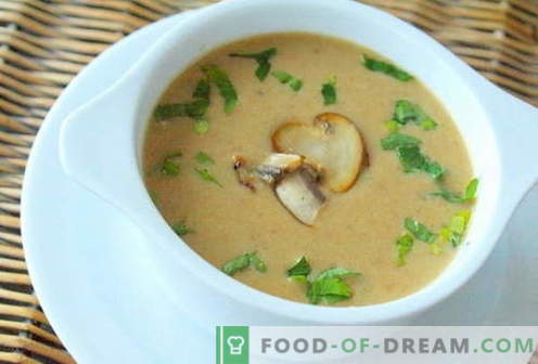 Супа од печурки - најдобри рецепти. Како да правилно и вкусно готви печурка супа.