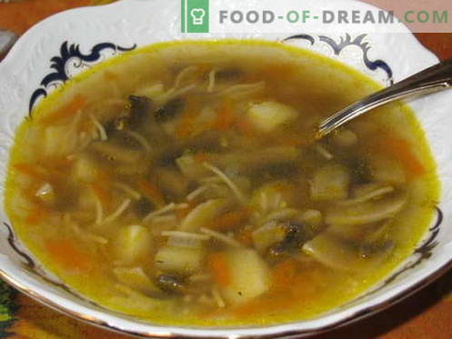 Супа од печурки - најдобри рецепти. Како да правилно и вкусно готви печурка супа.