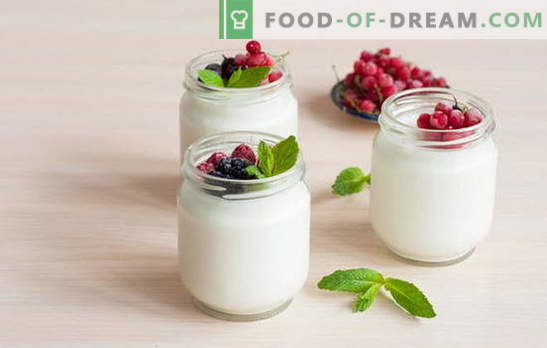 Како да направите јогурт дома: технологија. Јогурт рецепти дома: во јогурт творец, термос, тенџере