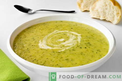 Супа од тиквички - најдобри рецепти. Како да правилно и вкусно готви супи од тиквички.
