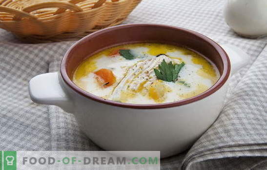 На карактеристиките на супа со топено сирење и пилешко. Варијации на julienne: домашни рецепти за супа со топено сирење и пилешко