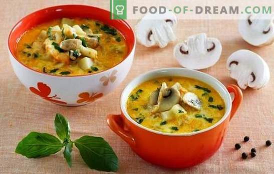 Супа со шампињони и сирење - поглезите вашето семејство! Избор на најдобри рецепти за супа со шампињони и топено сирење
