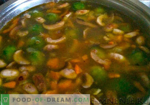 Супа од печурки - рецепт со фотографии и опис по чекор по чекор